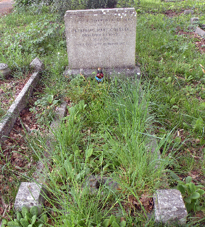 Catherine Mary Chlasta